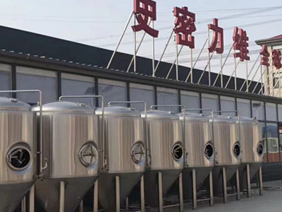 武陵精酿啤酒设备厂—如何判断精酿啤酒设备的密封件需要更换？